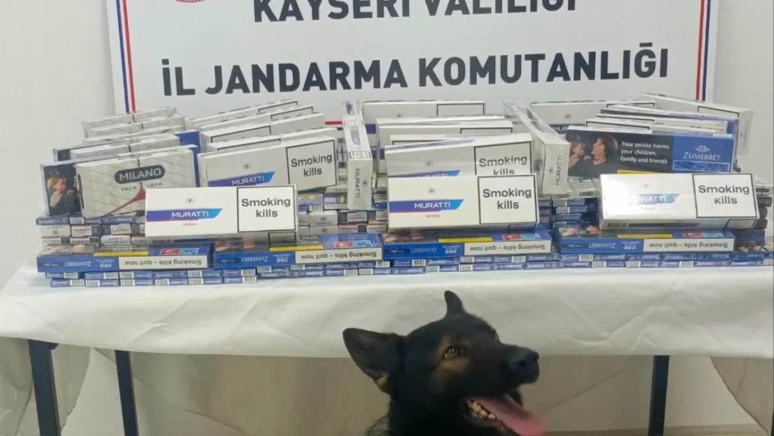 Jandarma ekipleri bin 120 paket kaçak sigara ele geçirdi