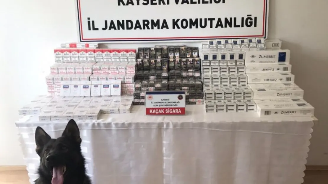 Jandarma ekipleri kaçak sigara ele geçirdi