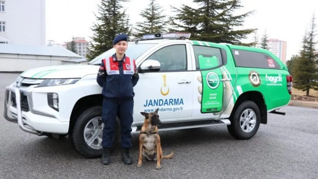 Jandarma hayvan koruma timi görev başında