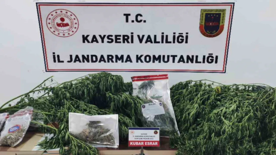 Jandarmadan bağ evine uyuşturucu operasyonu