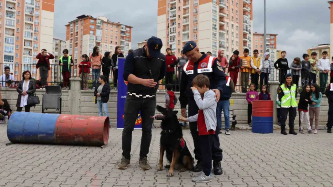 Jandarmadan öğrencilere 'hayvan hakları' ve 'trafik' eğitimi