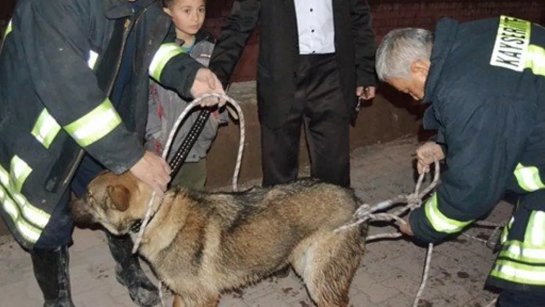 Kanaldaki Köpeği İtfaiye Kurtardı