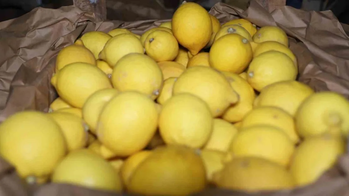 Kapadokya bölgesindeki limon depoları denetleniyor
