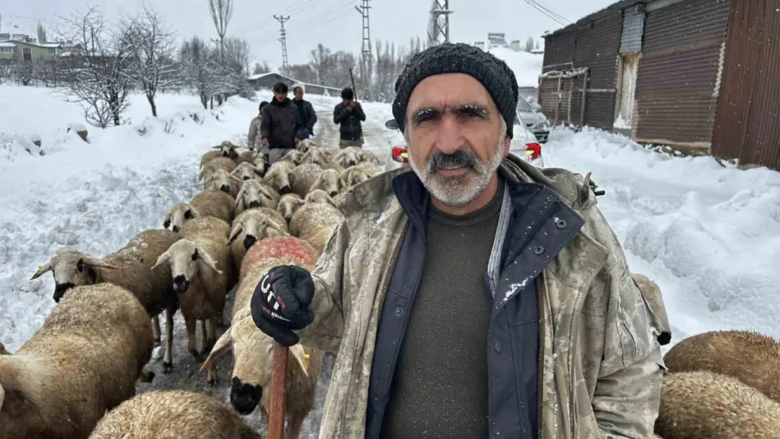 Kara kışa hazırlıksız yakalanan çobanlar yayladan erken indi