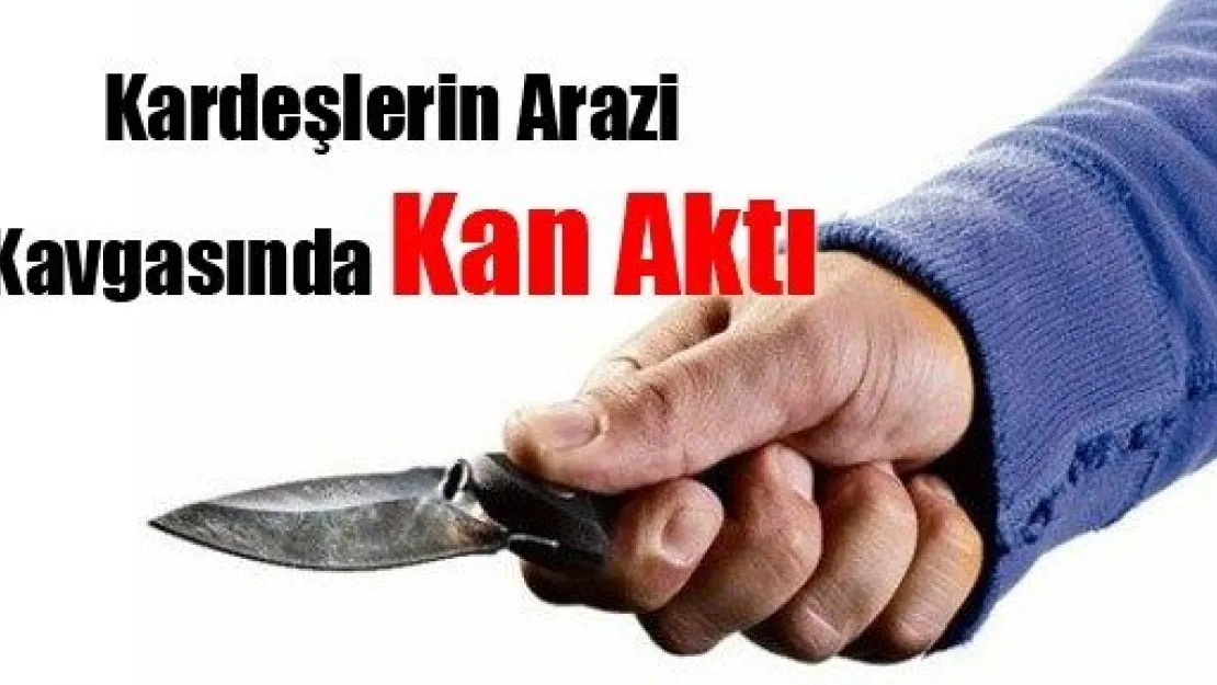 Kardeşlerin Arazi Kavgasında Kan Aktı