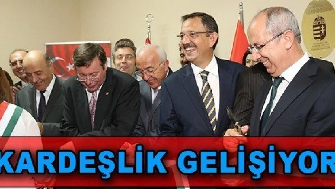 'Kardeşlik Gelişiyor'