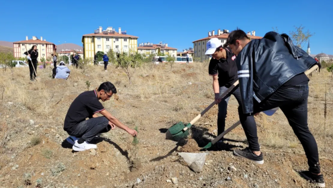 Kayseri Büyükşehir, Kent Ormanları oluşturuyor