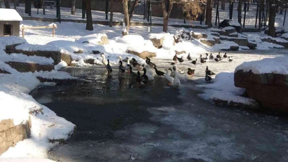 Kayseri buz tuttu