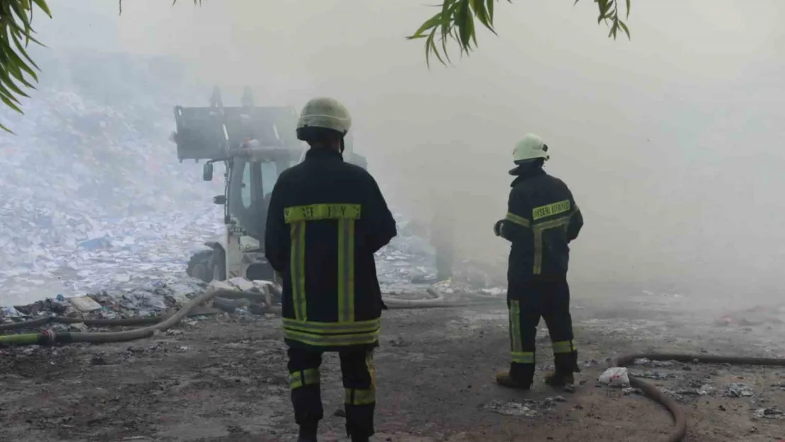 Alev alan otlar kağıt fabrikası yangınına neden oldu