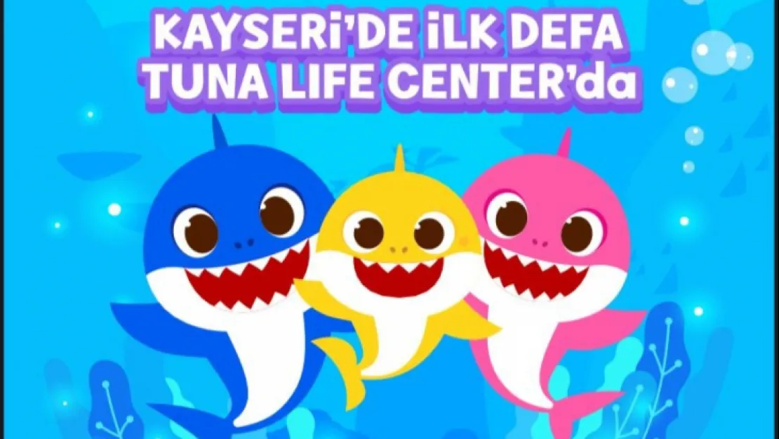 'Baby Shark' ilk kez Kayseri'de