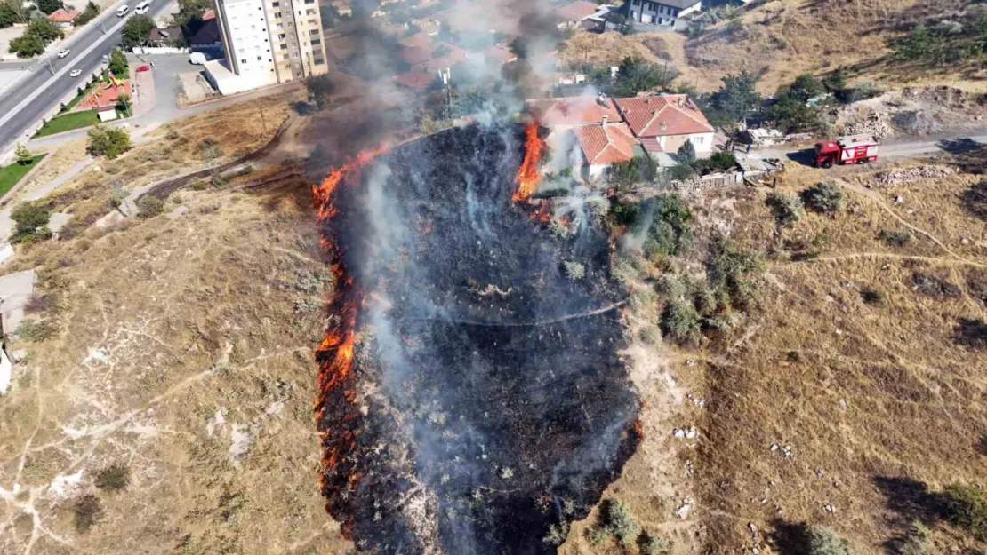 Kayseri'de ot yangını korkuttu