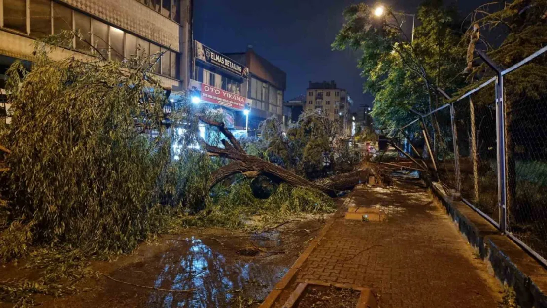 Kayseri'de şiddetli rüzgar ağaçları devirdi, vatandaşlar yolda mahsur kaldı