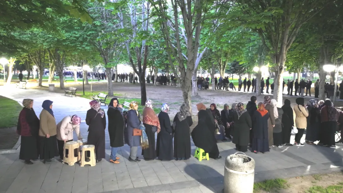 Kayseri'de Yerli ve Organik Domates: Bedava Fide Dağıtımına Büyük İlgi