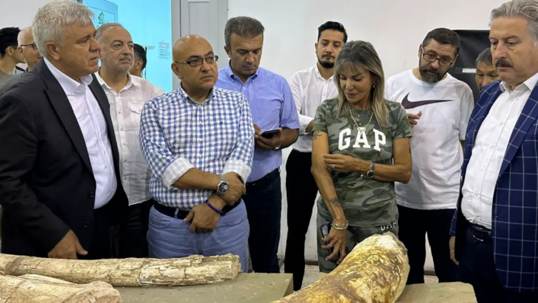 Kayseri Kent Konseyi'nden Fosil Çalışmaları Etkinliği