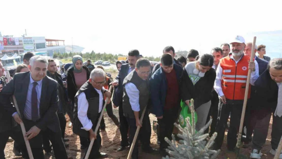 Kayseri'nin denizi ağaçlandırılıyor