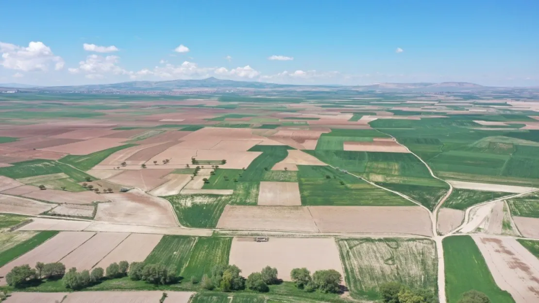 Kayseri'nin Tarımsal Başarısı