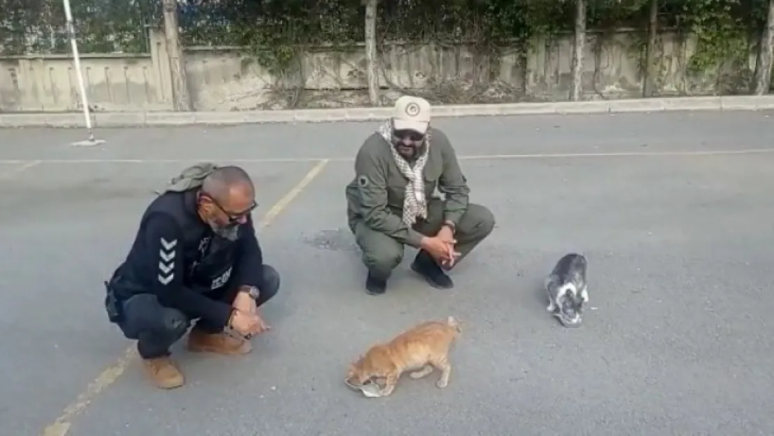 Kayseri polisi, depremin merkez üssündeki hayvanlara şefkat eli uzatıyor