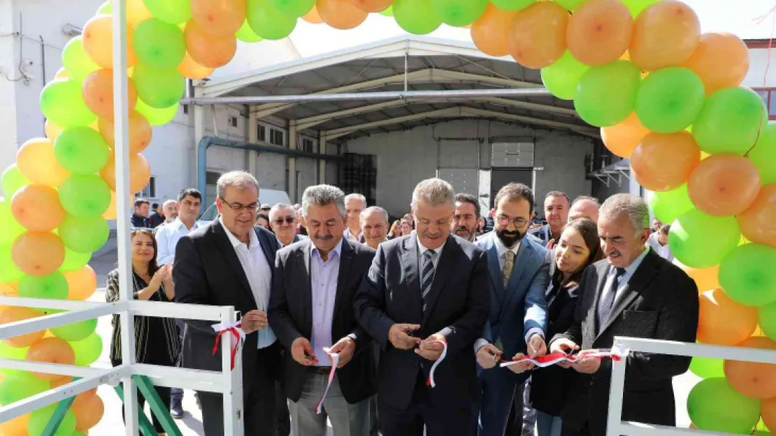 Kayseri Şeker'in 'kahverengi şekerine' TSE belgesi