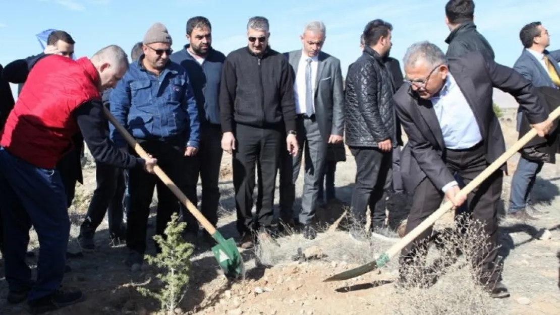 Kayseri Ulaşım A.Ş.'den  3 bin fidan