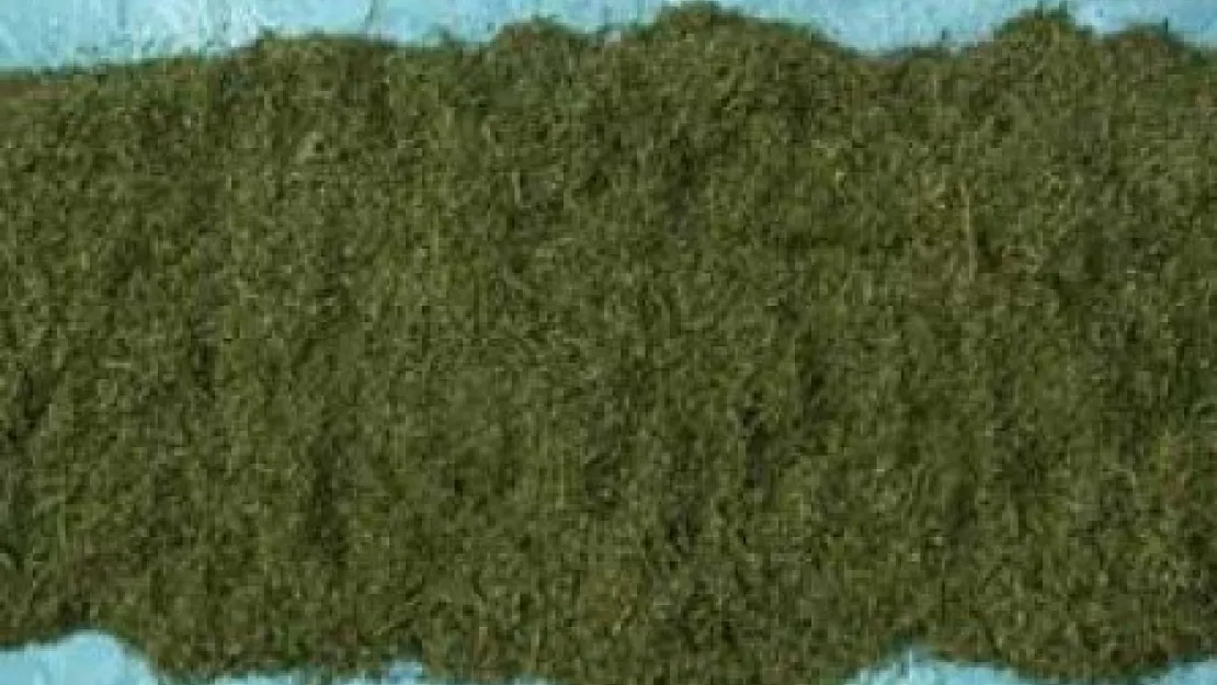 Kayseri'de 2 Kilogram Kubar Esrar Maddesi Ele Geçirildi 