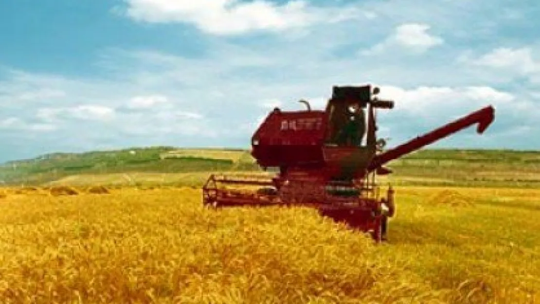 KAYSERİ'DE HER YIL 600 BİN DEKAR TARIM ARAZASİSİ YOK OLUYOR