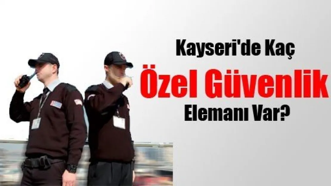 Kayseri'de Kaç Özel Güvenlik Elemanı Var?