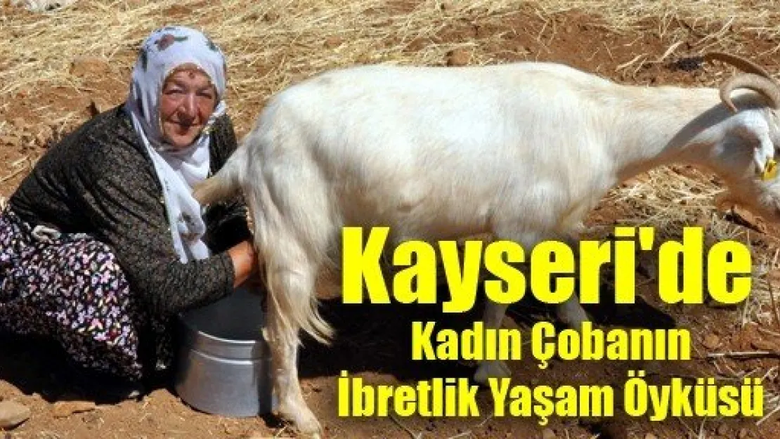 Kayseri'de Kadın Çobanın İbretlik Yaşam Öyküsü 