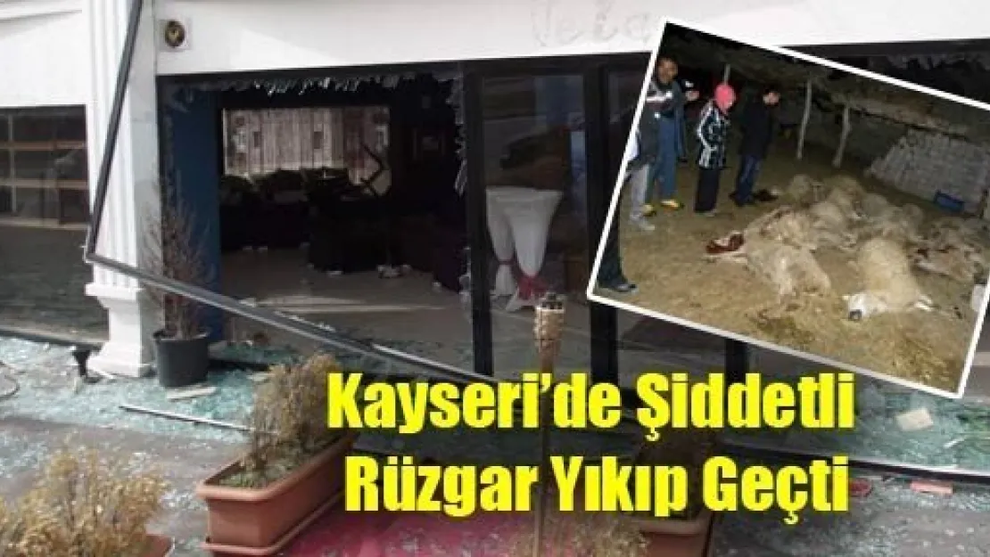 Kayseri'de Şiddetli Rüzgar Yıkıp Geçti