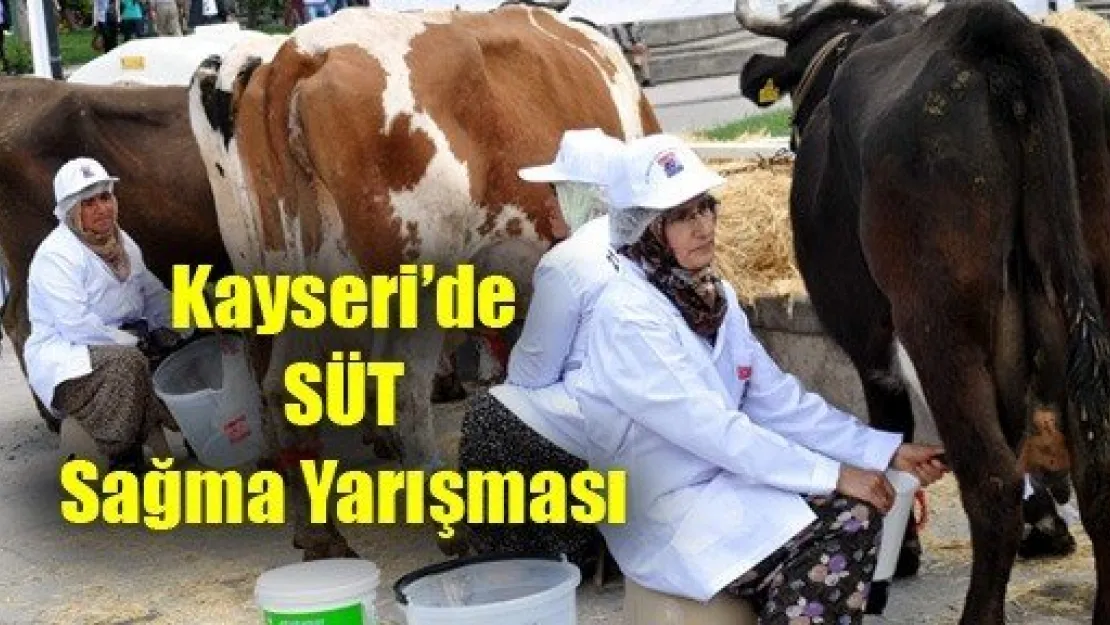 Kayseri'de Süt Sağma Yarışması