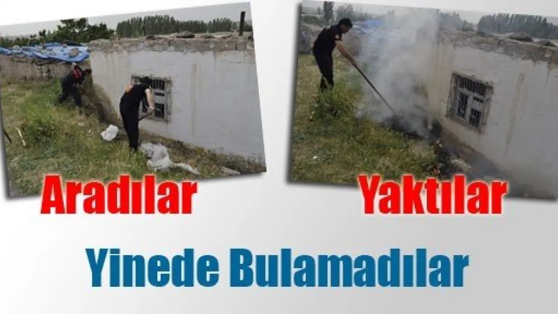 Bir Türlü Yakalayamadılar