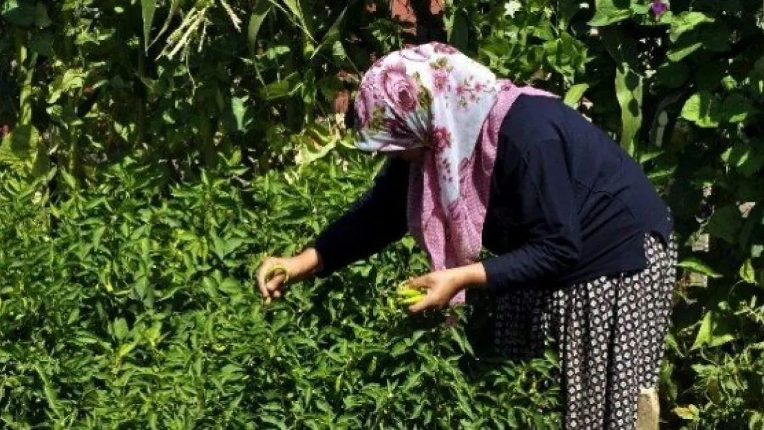 Kayserilileri Doğayla Buluşturan Mekan, 'hobi Bahçesi' 