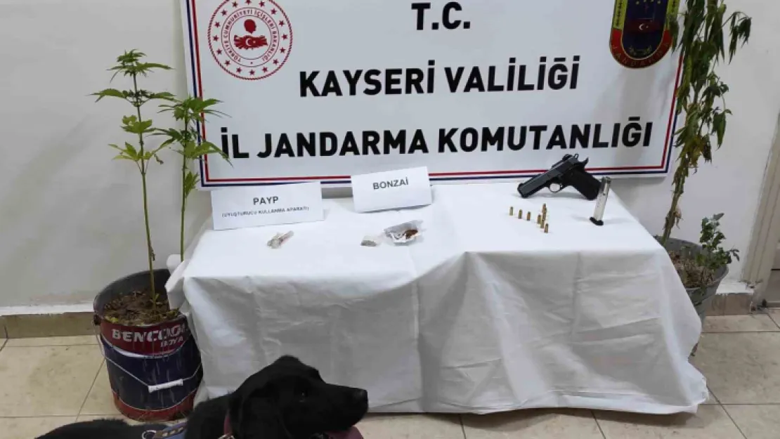 Saksıda kenevir Yetiştiren Şahıs Yakalandı