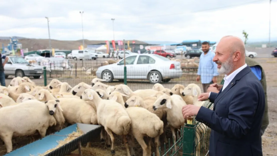 Kocasinan Belediyesi, 'kurban tatbikatı' yaptı