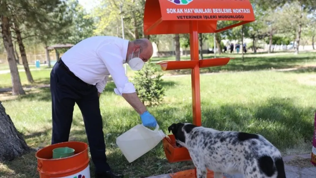 Kocasinan Belediyesi'nin küçük dostlar çalışmalarına liseli öğrencilerinden destek