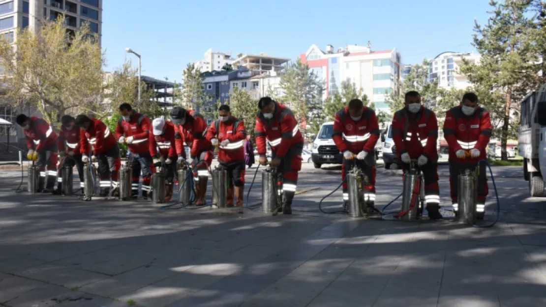 Kocasinan'da yılın 12 ayında  haşere mücadelesi