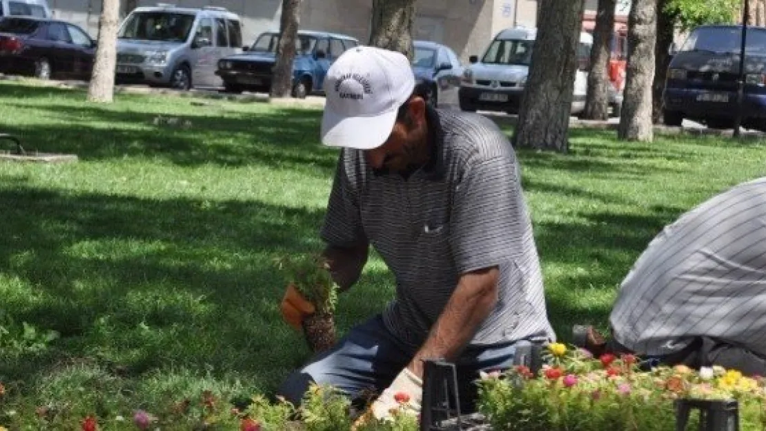 Kocasinan Belediyesi Park Ve Bahçeleri Çiçeklendiriyor 