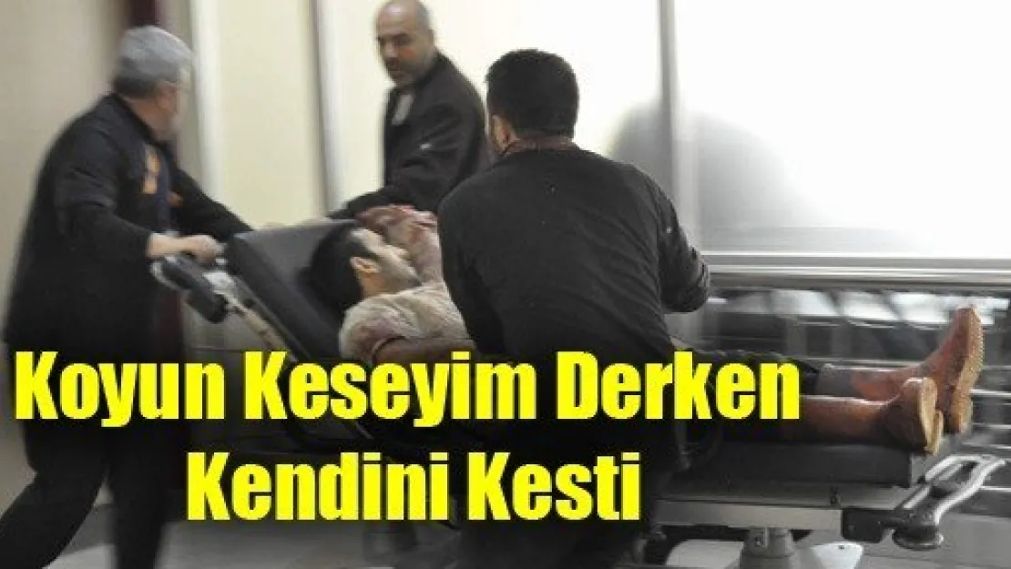 Koyun Keseyim Derken Kendini Kesti