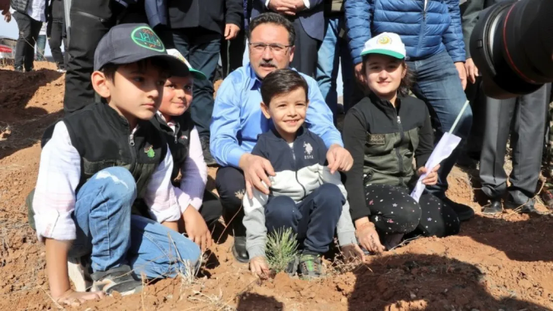 KTO Avrupa Birliği Hatıra Ormanına 10 bin fidan dikildi