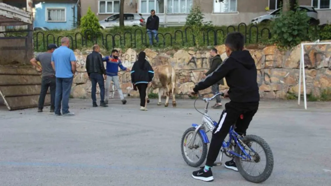 Kurban kesim alanları oyun parkına döndü