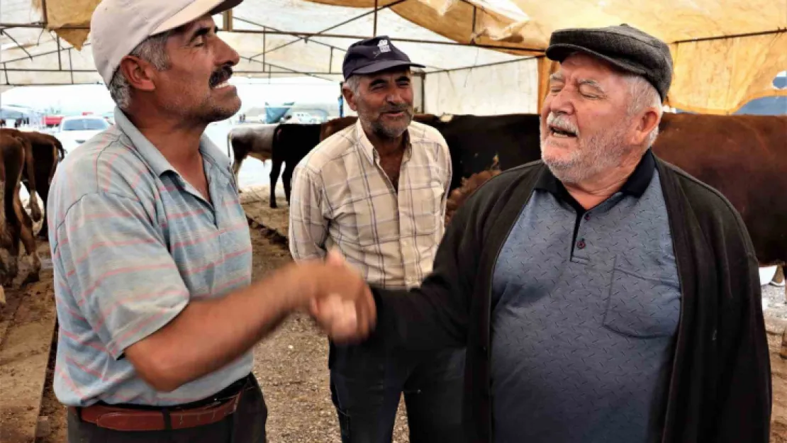 Kurbanlıklar görücüye çıktı, sıkı pazarlıklar başladı