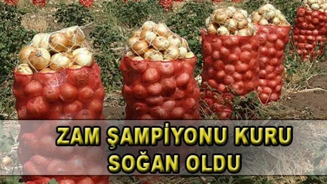 Kuru Soğan, Zam Şampiyonu