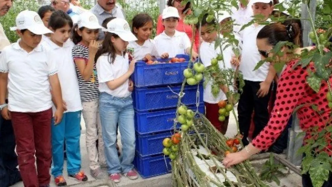 'Lider çocuk tarım kampı' programı uygulandı 