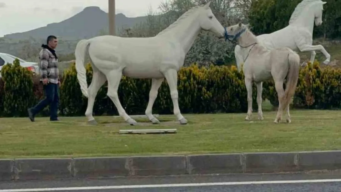 Maketini gerçek sandı, dakikalarca oynadı