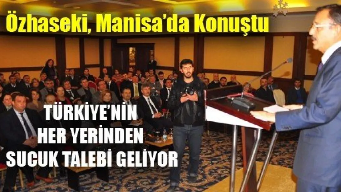 Manisa'ya Sucuk Göndereceğim