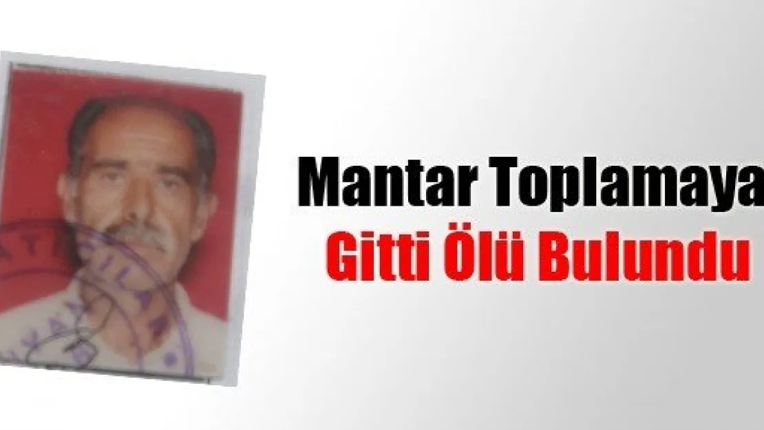 Mantar Toplamaya Gitti Ölü Bulundu