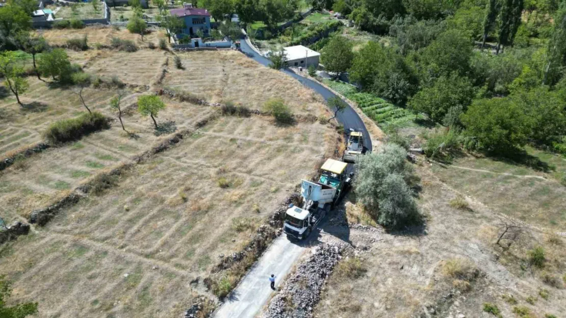 Büyük Bürüngüz'de kapsamlı çalışma