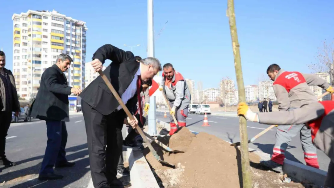 Melikgazi ilçeyi devasa ağaçlarla yeşillendirmeye devam ediyor