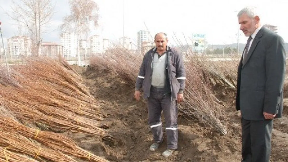 Melikgazi'den 20 Bin Çiçek