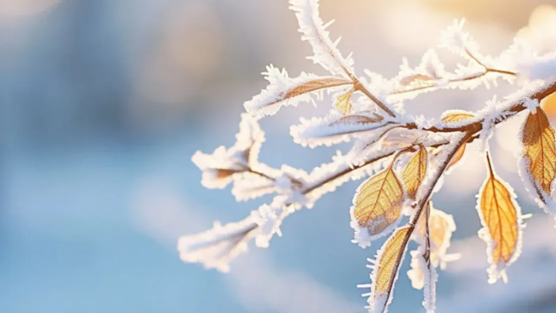 Meteorolojiden 'zirai don' uyarısı