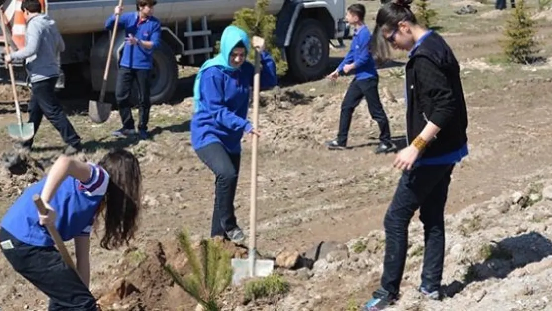 Mimarsinan Bahçelievler Mahallesi'nde ağaçlandırma çalışmaları